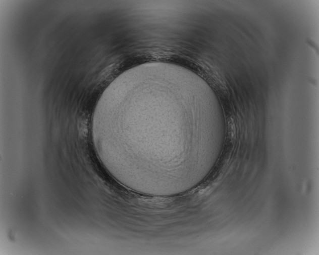 X0000097830032200804041431