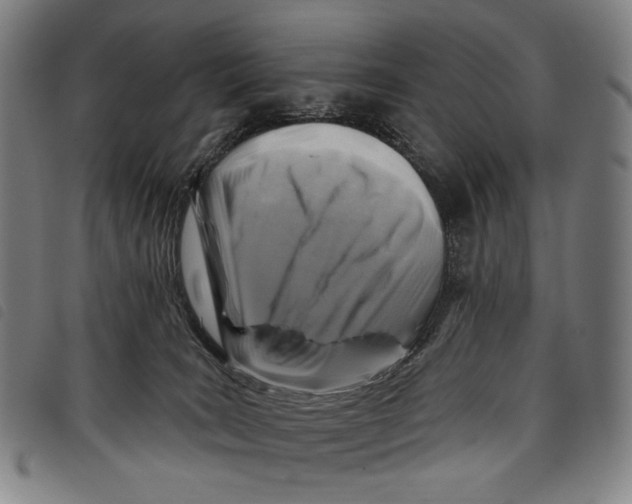 X0000097830035200804041431