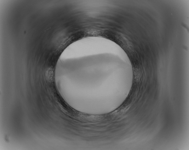 X0000097830036200804041431