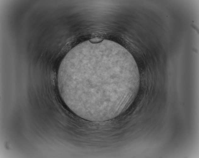 X0000097830038200804041431