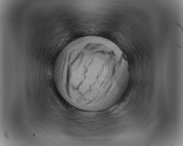 X0000097830040200804041431