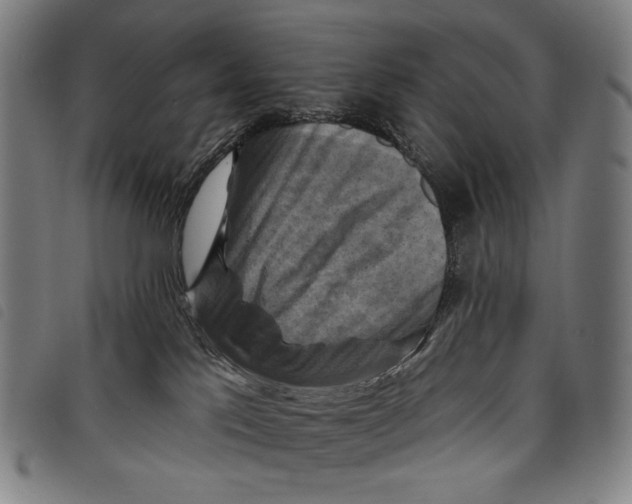 X0000097830041200804041431