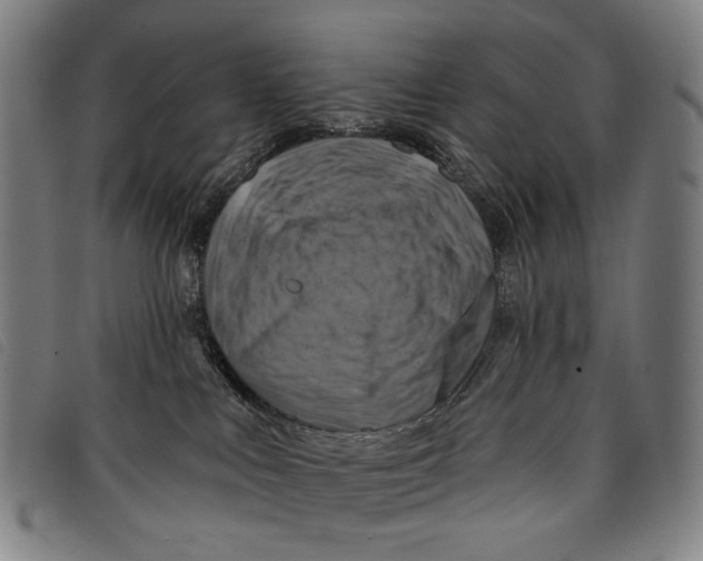 X0000097830043200804041431