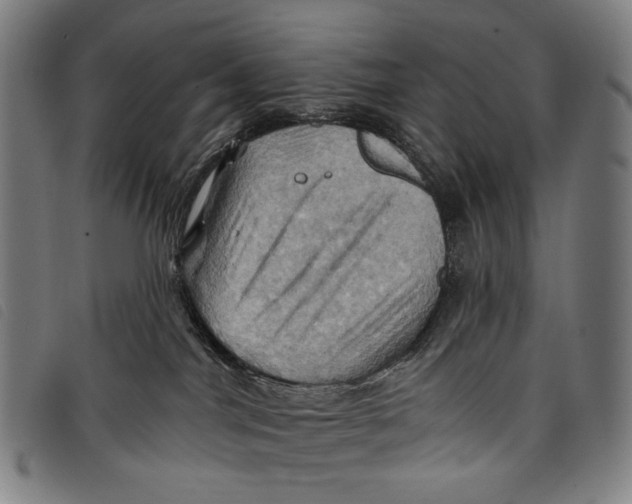 X0000097830044200804041431