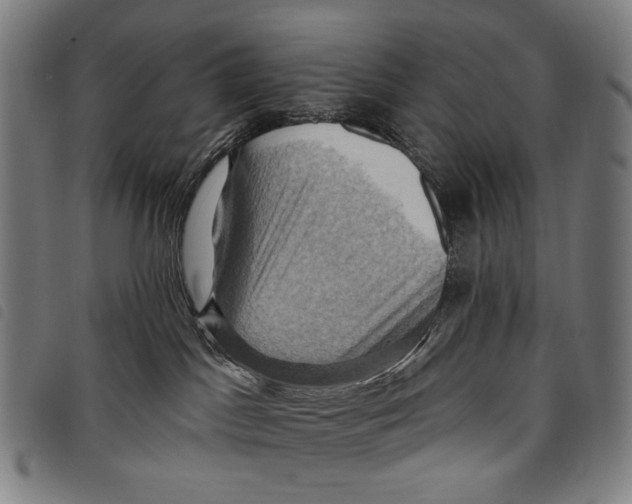 X0000097830045200804041431