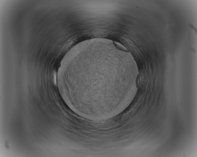 X0000097830046200804041431