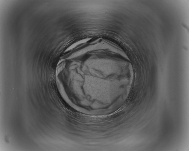 X0000097830048200804041431