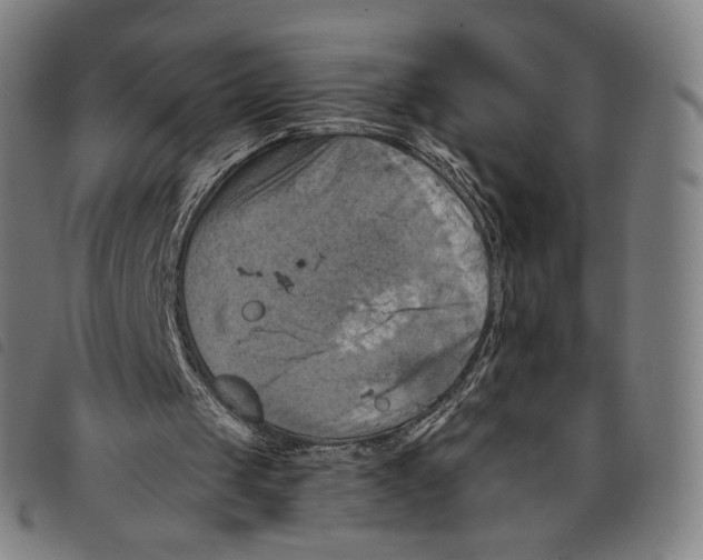 X0000097830049200804041430