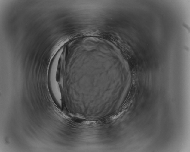 X0000097830052200804041430