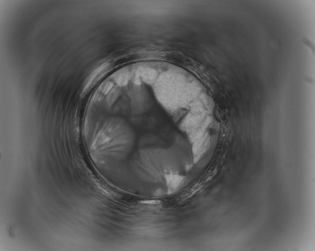 X0000097830053200804041430