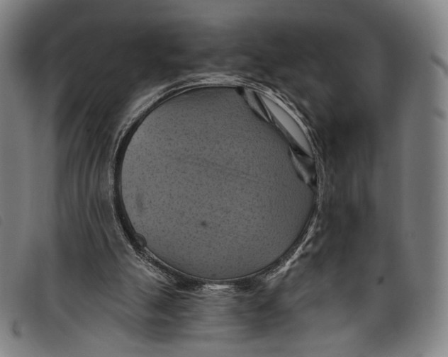 X0000097830055200804041430