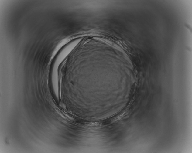 X0000097830056200804041430