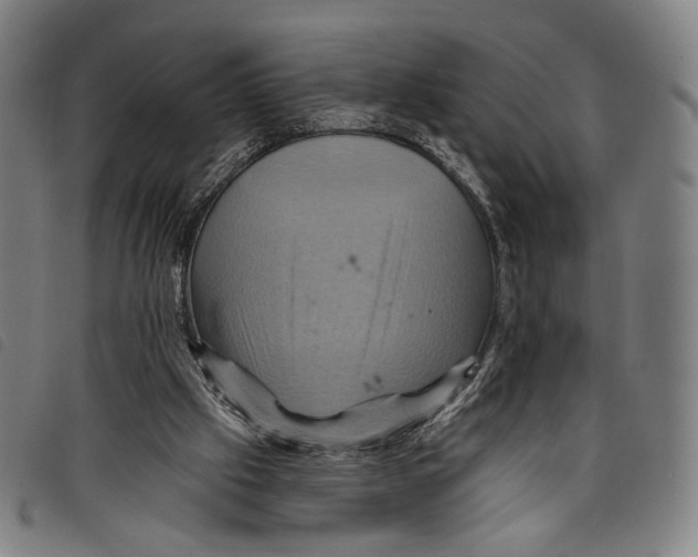 X0000097830057200804041430