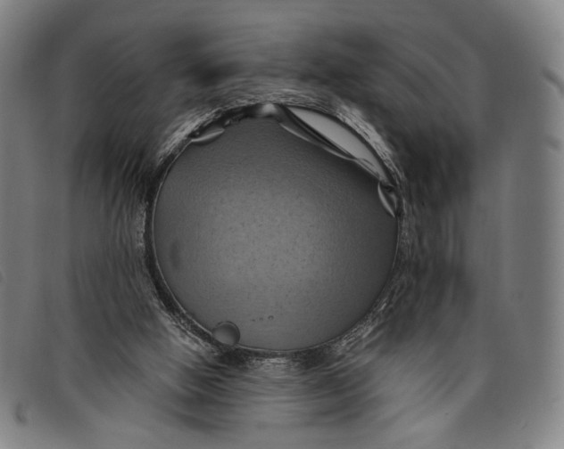 X0000097830058200804041430