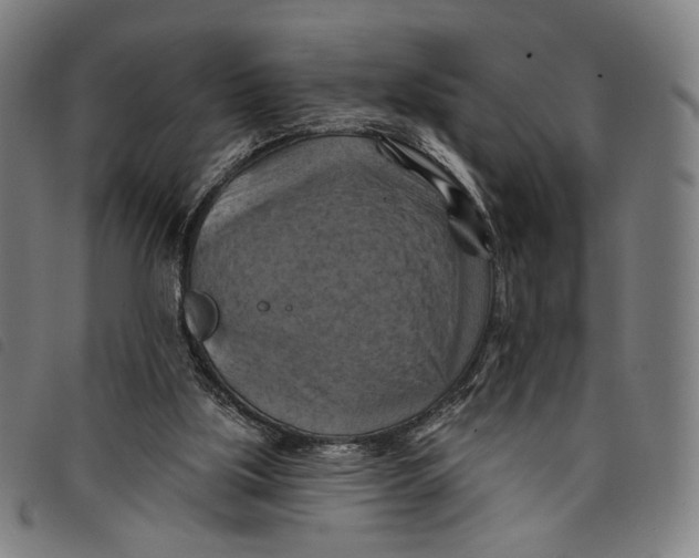 X0000097830059200804041430