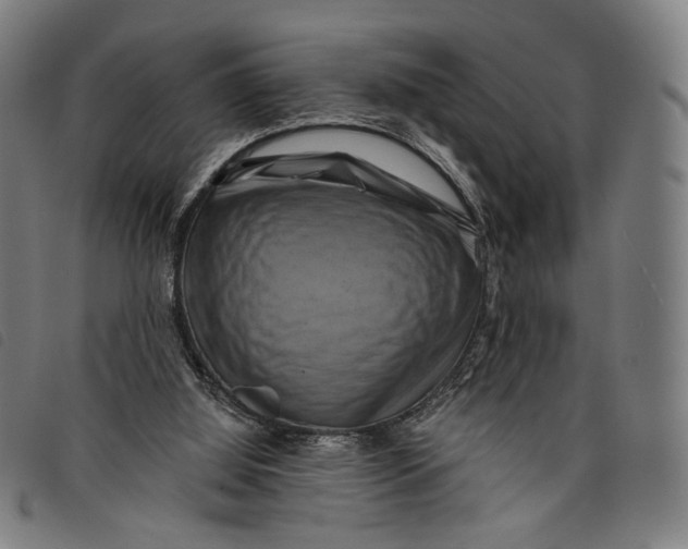 X0000097830060200804041430