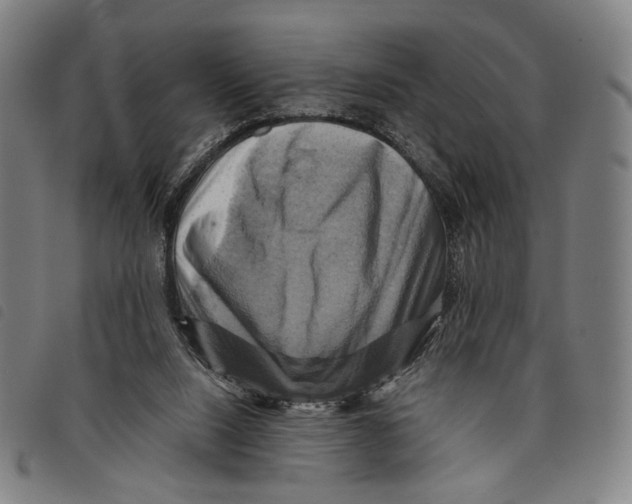 X0000097830064200804041430