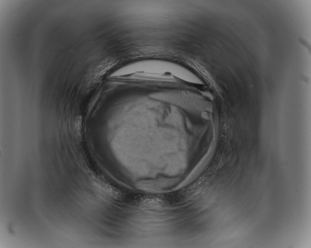 X0000097830066200804041430