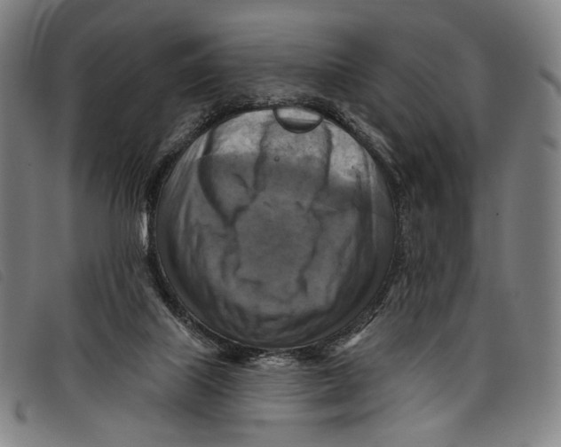 X0000097830067200804041430