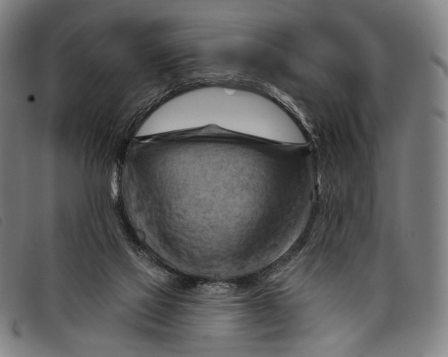 X0000097830069200804041430