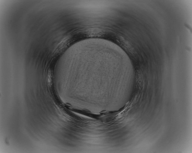 X0000097830074200804041430