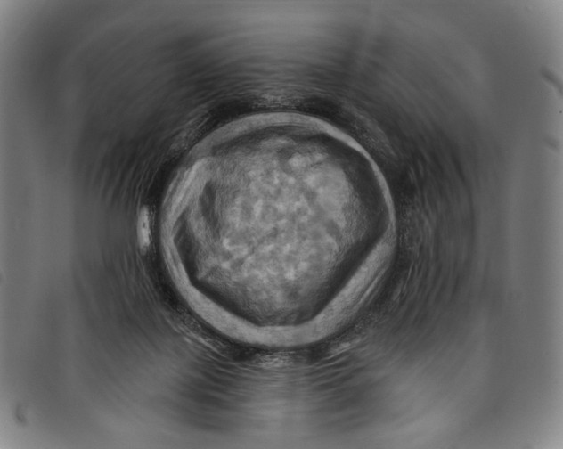 X0000097830075200804041430