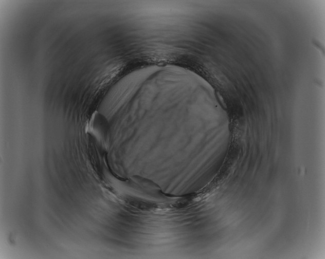 X0000097830076200804041430