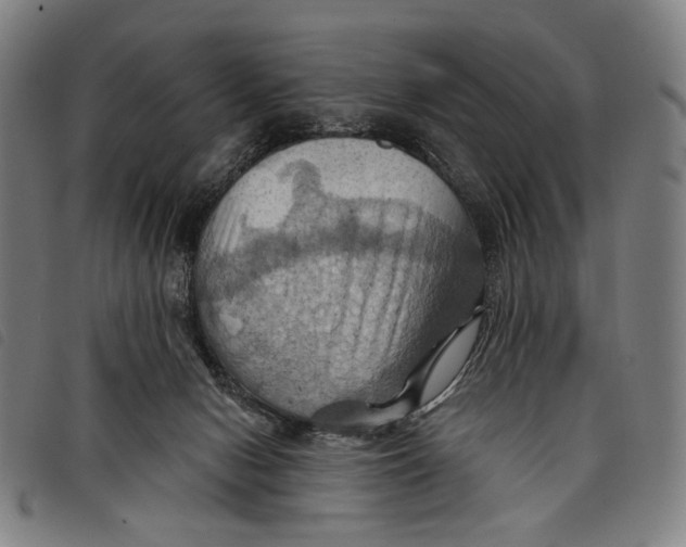 X0000097830078200804041430