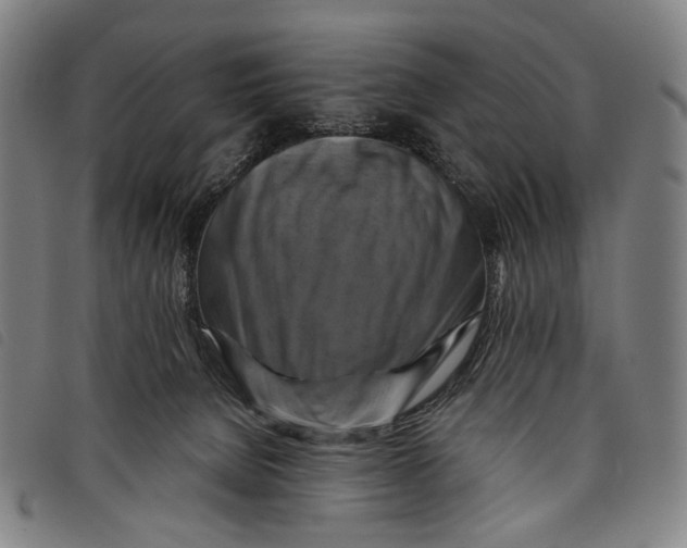 X0000097830080200804041430