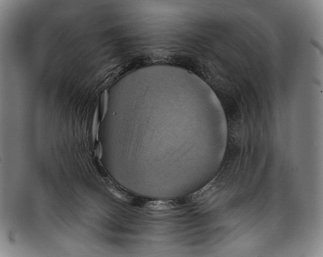 X0000097830082200804041430