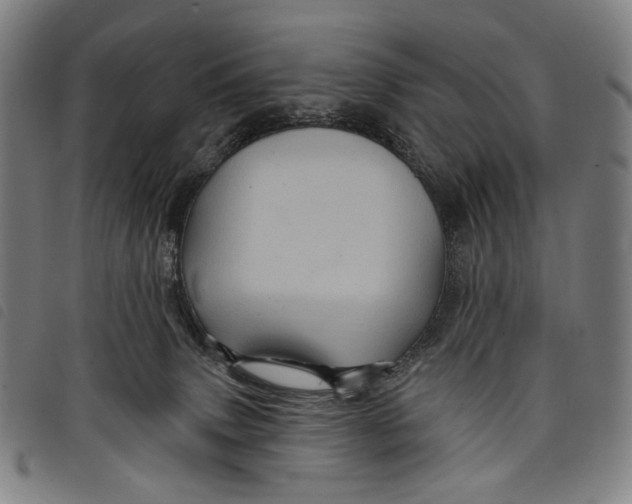 X0000097830083200804041430