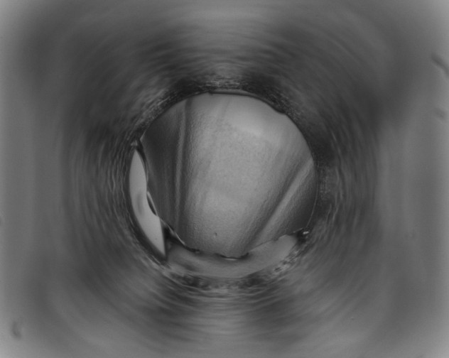 X0000097830084200804041430