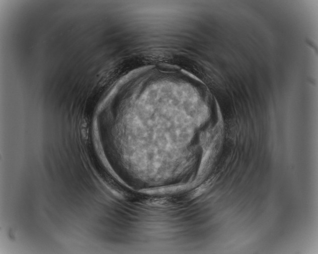 X0000097830086200804041430