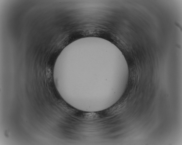 X0000097830087200804041430