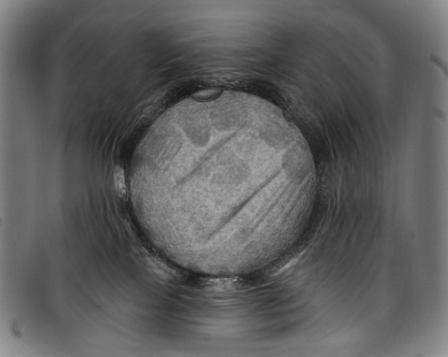 X0000097830089200804041430