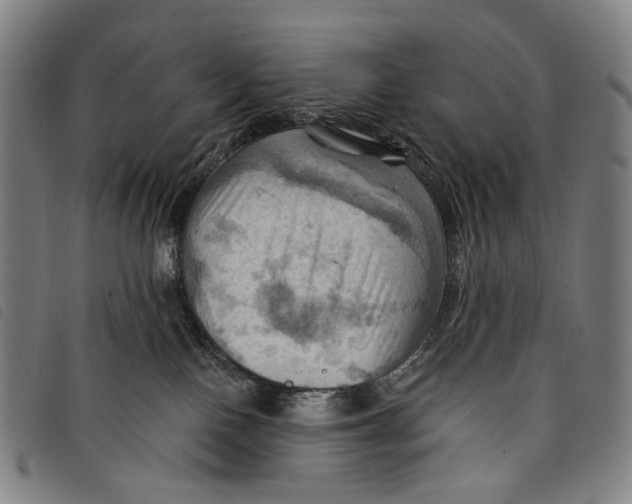 X0000097830090200804041430