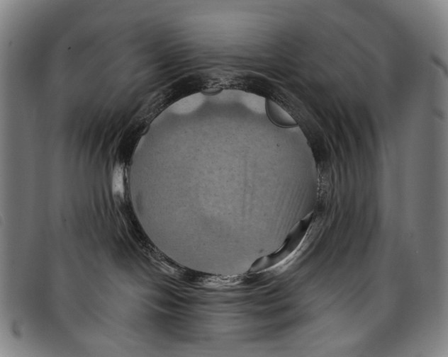 X0000097830094200804041431