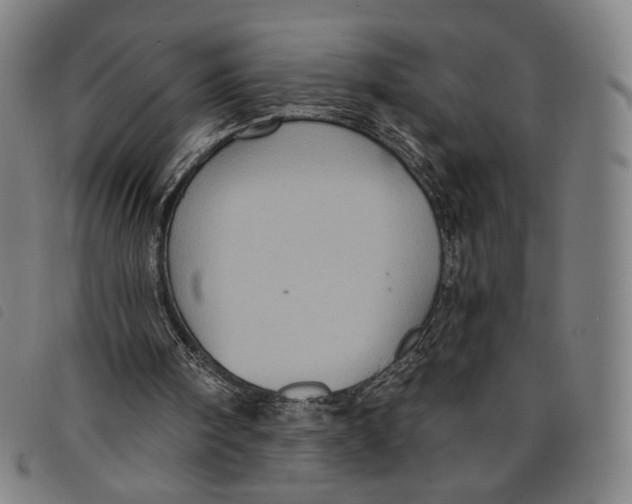 X0000097830098200804041430