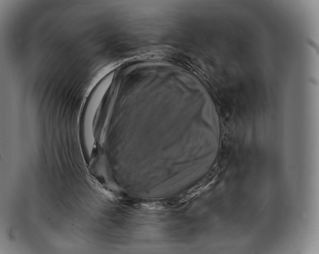 X0000097830100200804041430