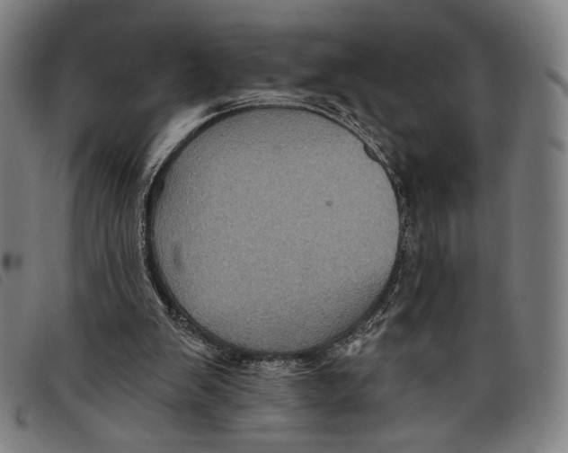 X0000097830103200804041430