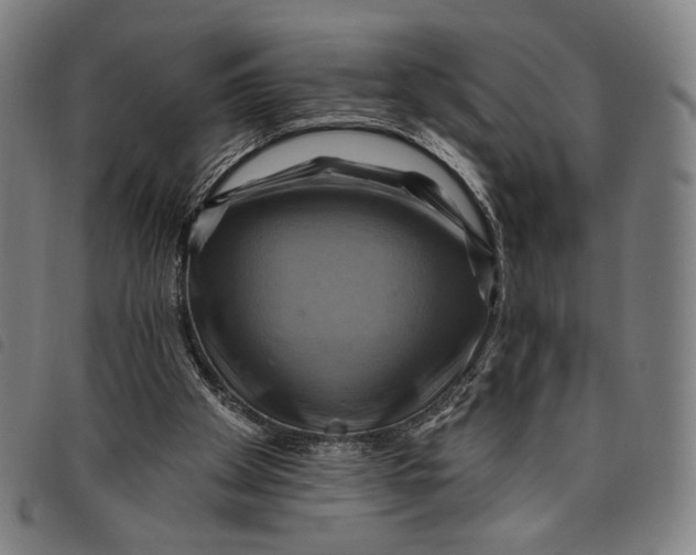 X0000097830105200804041430