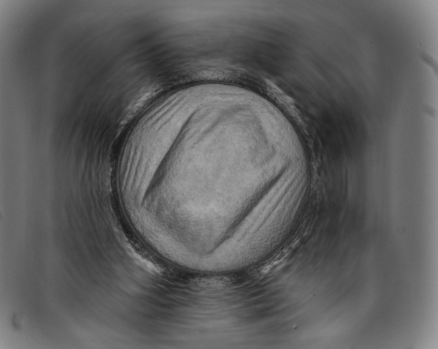 X0000097830106200804041430