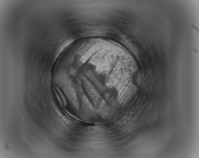 X0000097830107200804041430