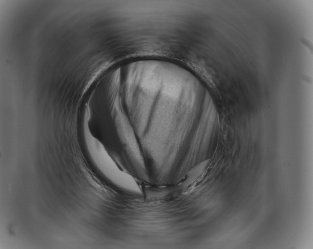 X0000097830108200804041430