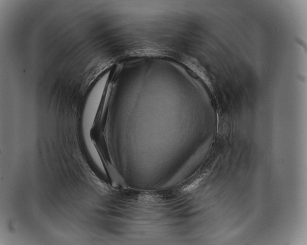 X0000097830109200804041430