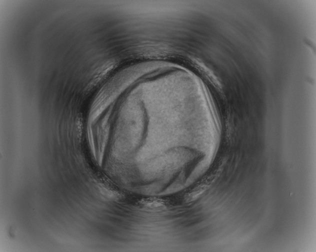 X0000097830113200804041430