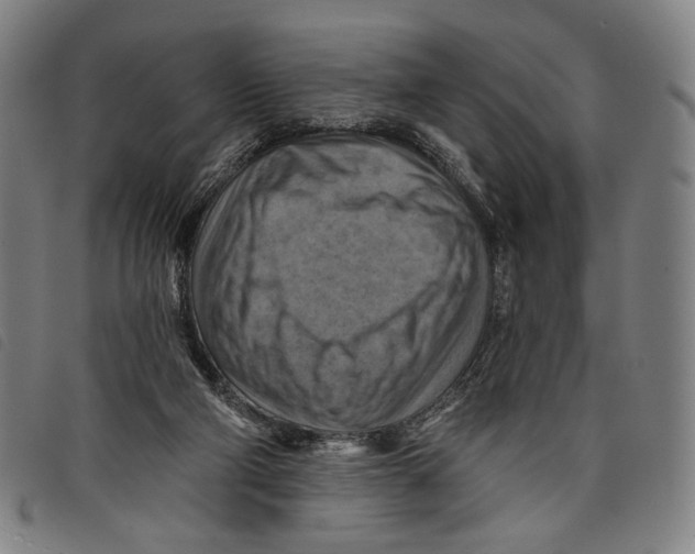 X0000097830114200804041430