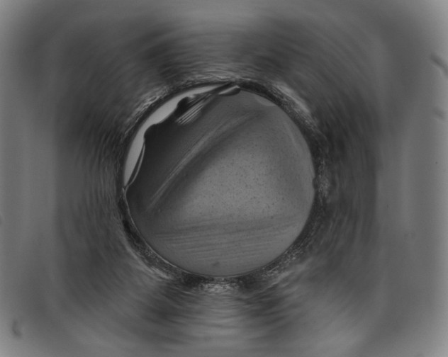 X0000097830115200804041430