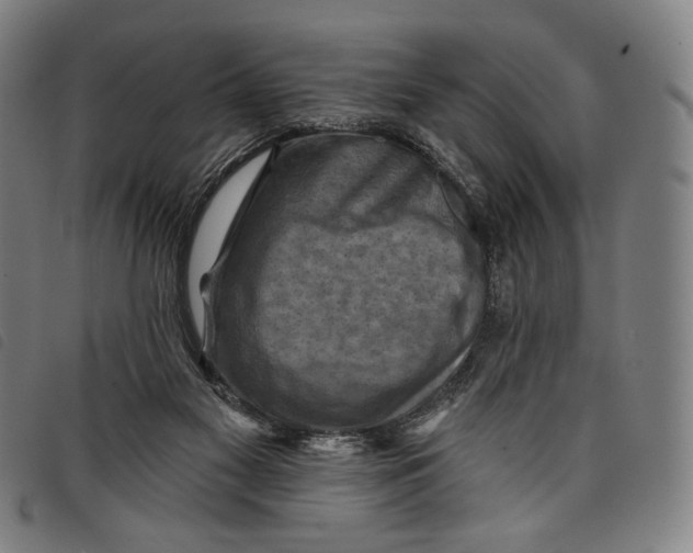 X0000097830117200804041430