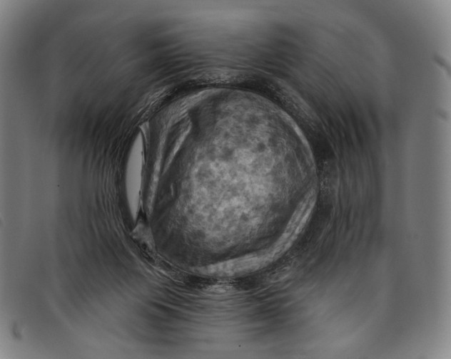 X0000097830119200804041430